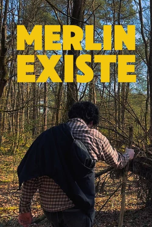 Merlin Existe