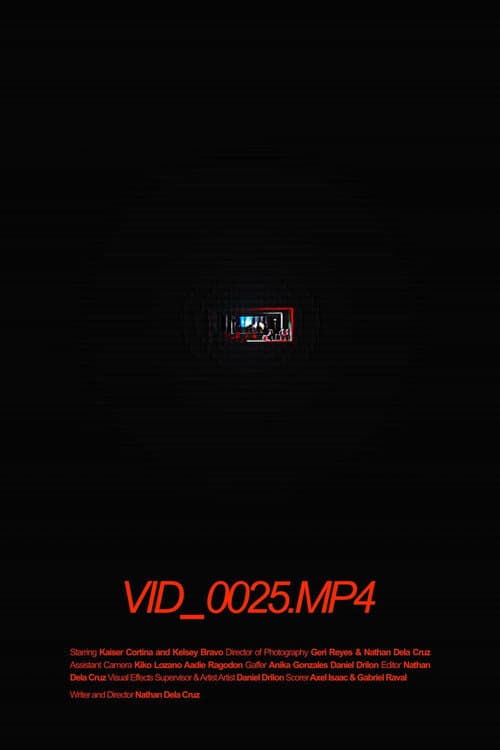 VID_0025.MP4