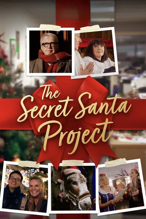 The Secret Santa Project