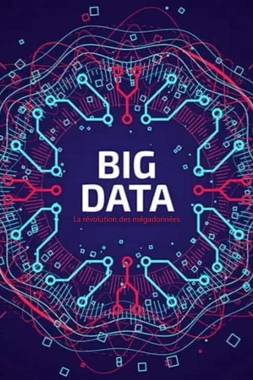 Big Data - La révolution des mégadonnées