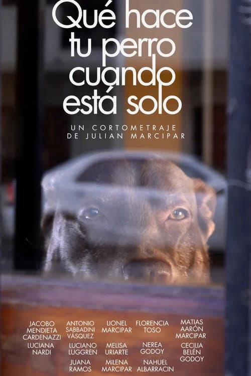Qué hace tu perro cuando está solo