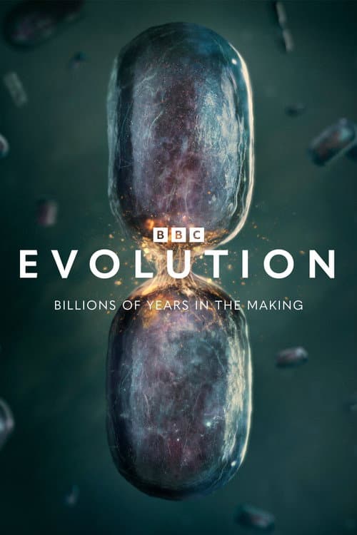 Series 1