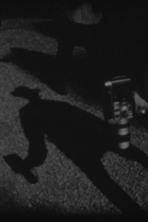 8 shots