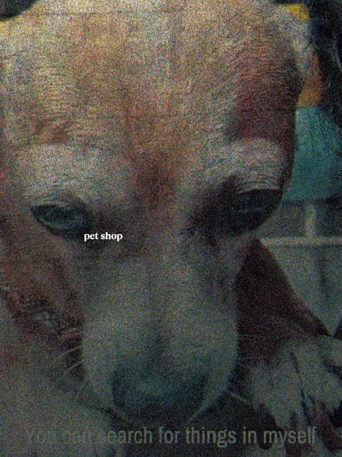 Pet Shop