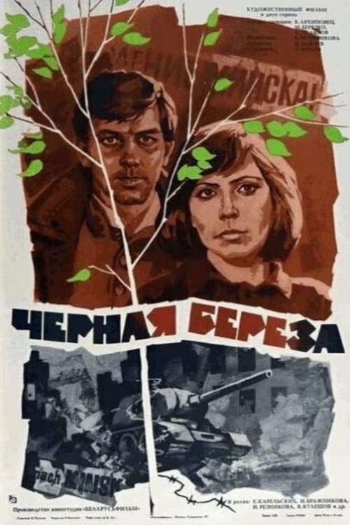 Black Birch