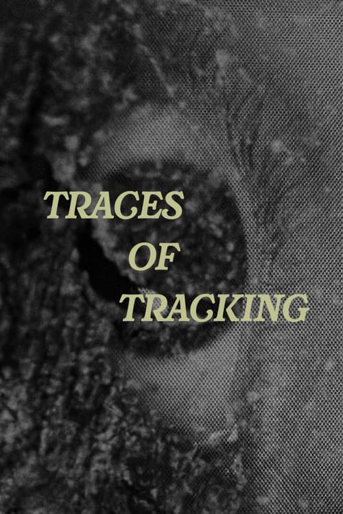 Traces of Tracking
