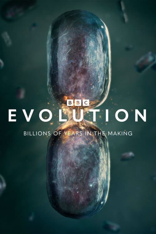 Evolution