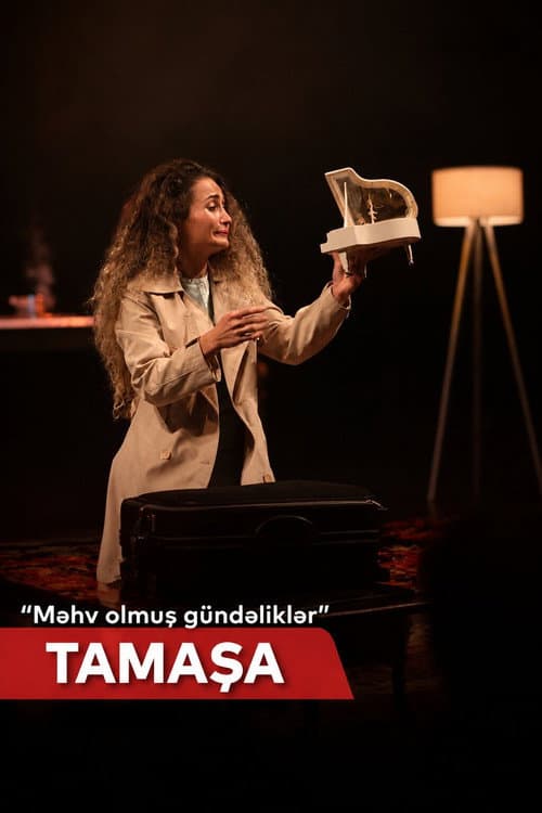 Məhv olmuş gündəliklər