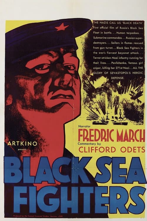 Black Sea Fighters