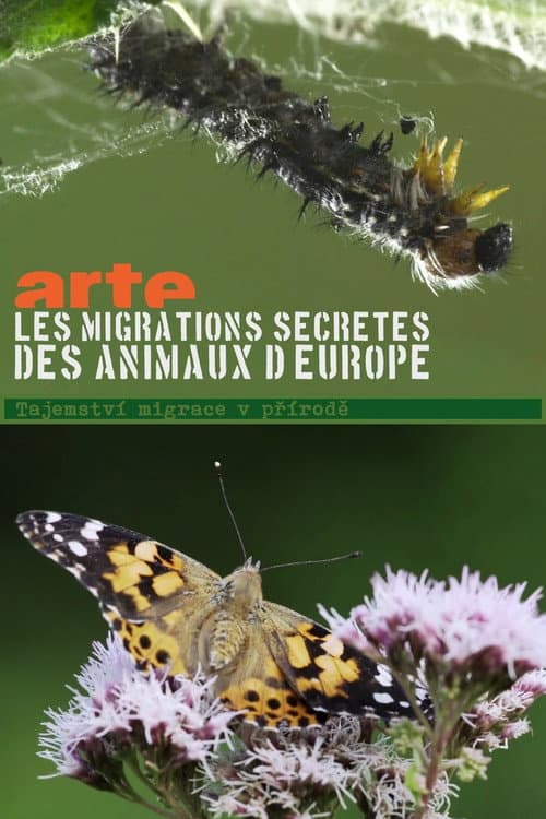 Secret Migrations