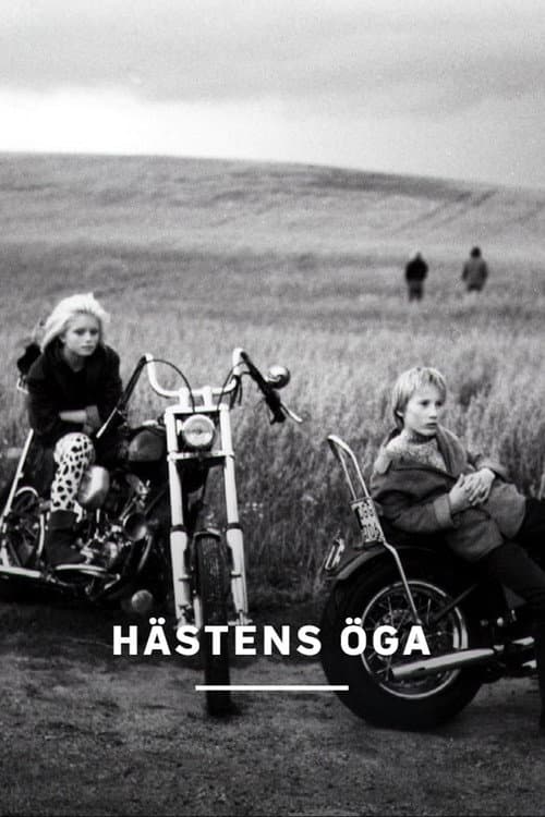 Hästens öga