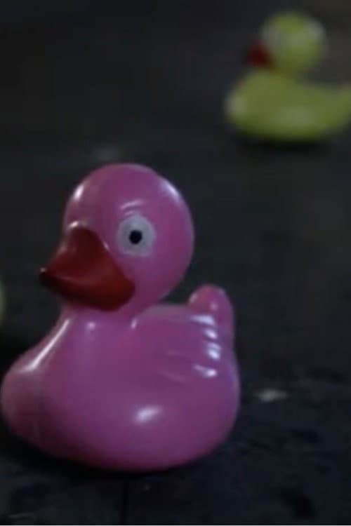 Curmudgeon, The Duckhunter