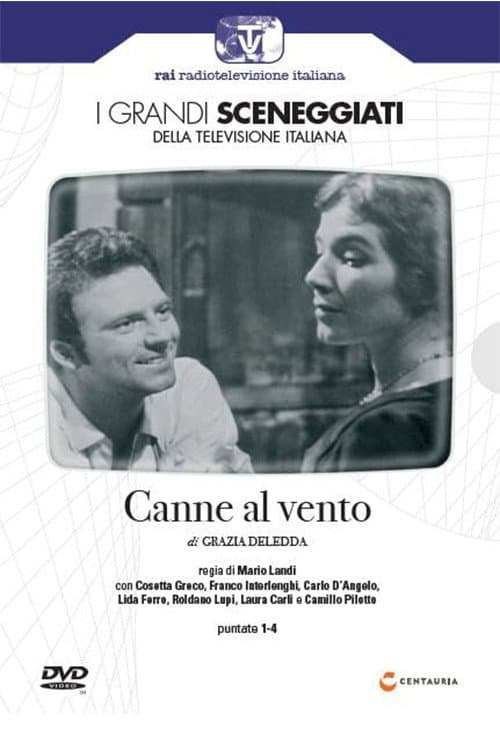Canne al Vento