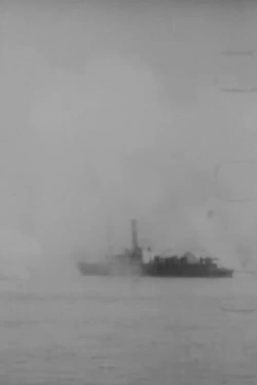 Bombardment of Port Arthur