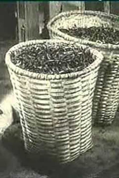 Ali Chahvadze's Tea