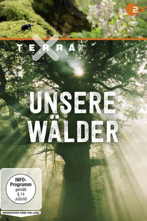 Terra X - Unsere Wälder