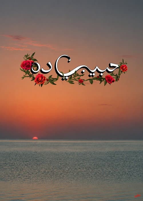 Habeeby Da
