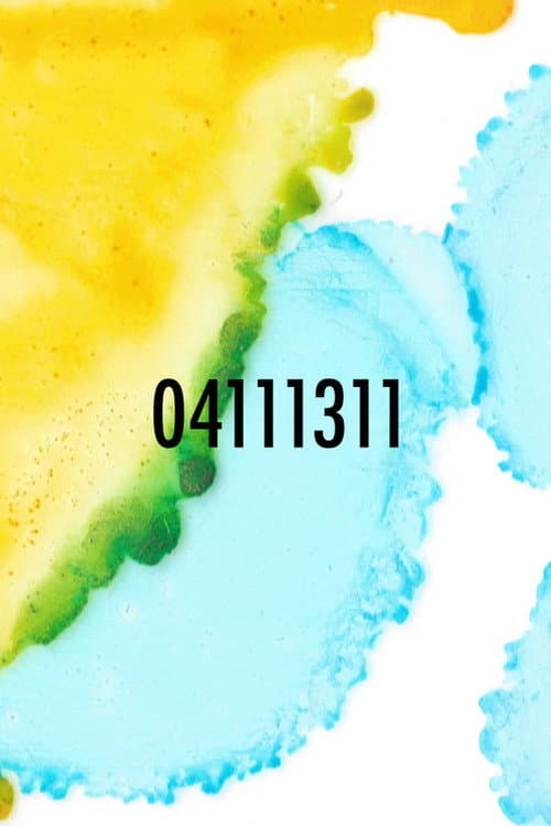04111311