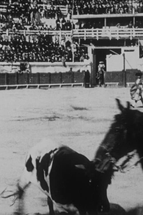Picadors
