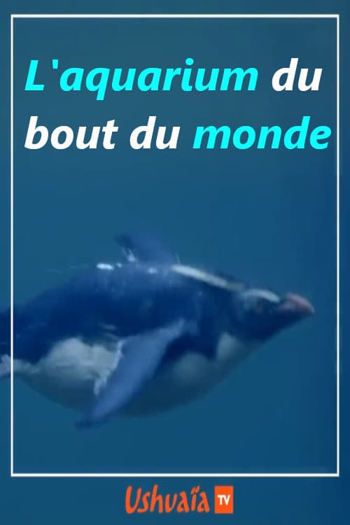 L'aquarium du bout du monde