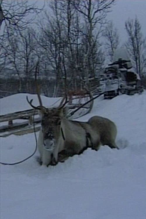 Niestebohcco njuovvan