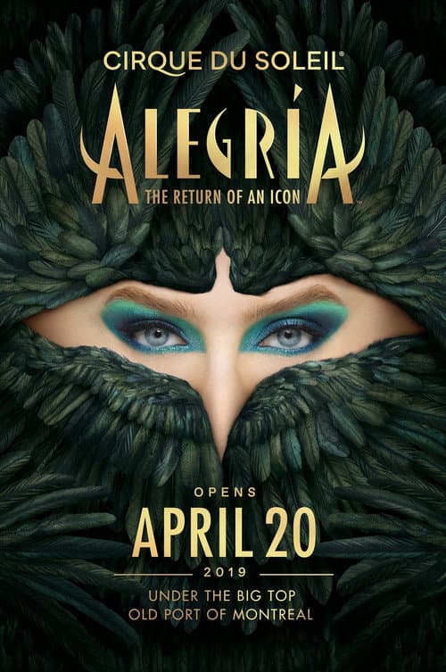 Alegría: In A New Light