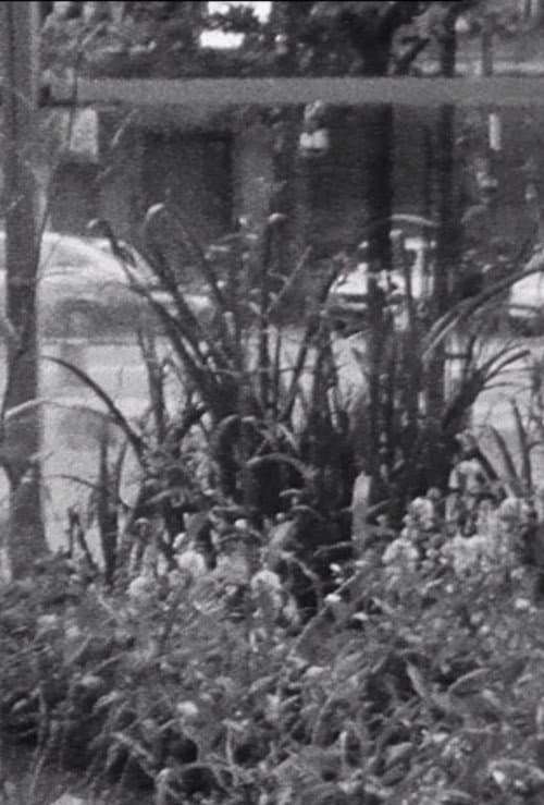 Passanten