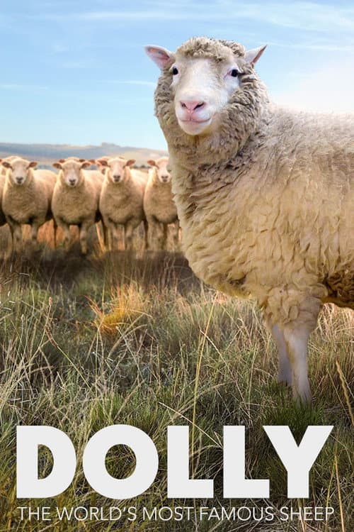 Dolly: The World's Most Famous Sheep
