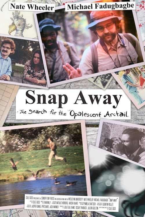 Snap Away: The Search for the Opalescent Arctail