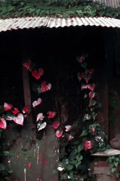 Shelter