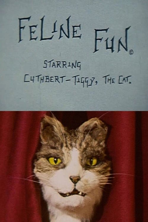 Feline Fun