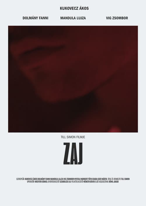Zaj