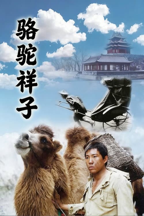 骆驼祥子