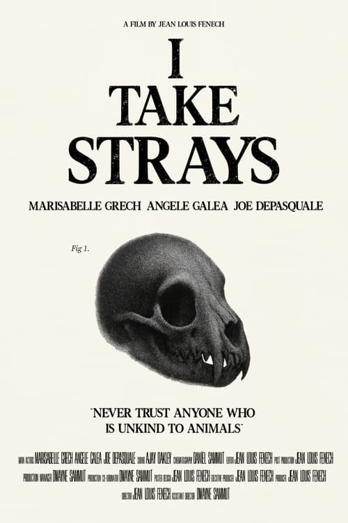 I TAKE STRAYS
