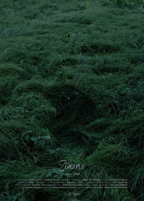 Grain