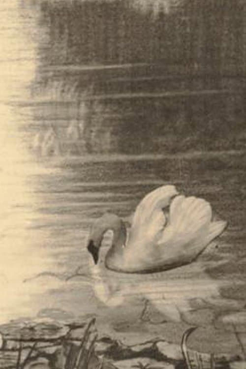 The Ugly Duckling