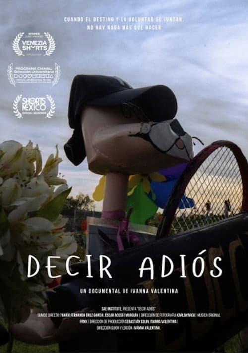 Decir adiós