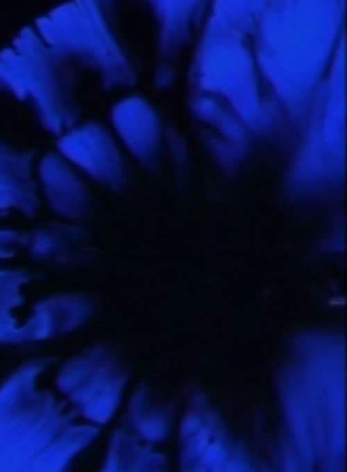 Adagio