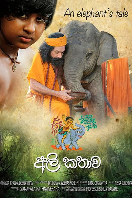 An Elephant's Tale