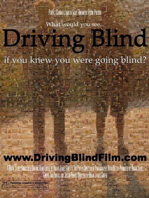 Driving Blind