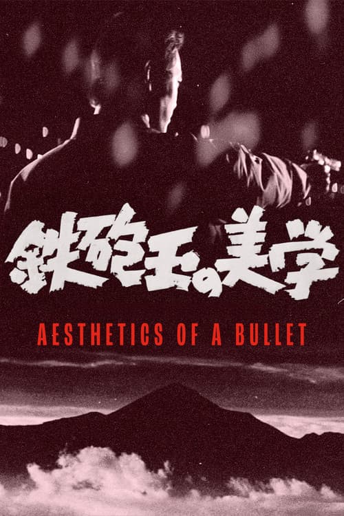 Aesthetics of a Bullet