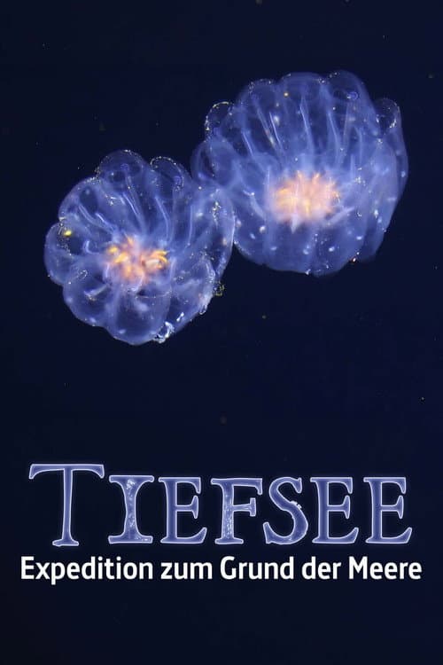 Fascination of the Deep Sea