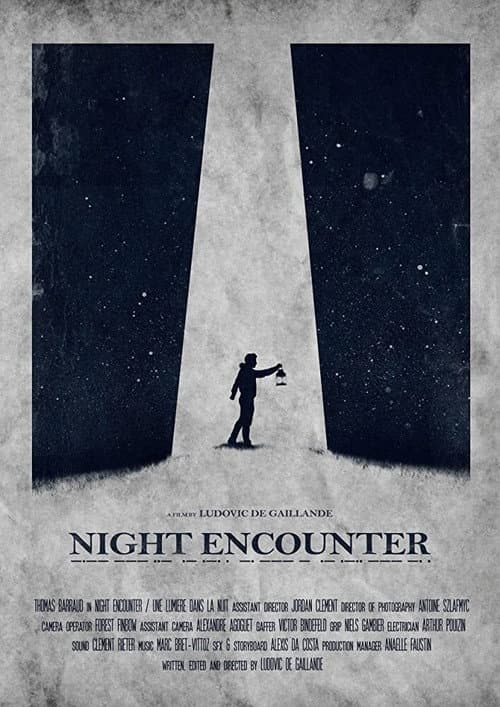 Night Encounter