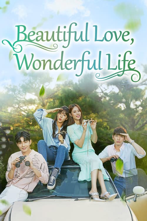 Beautiful Love, Wonderful Life