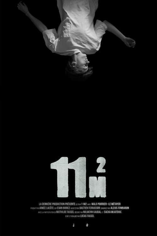 11m2