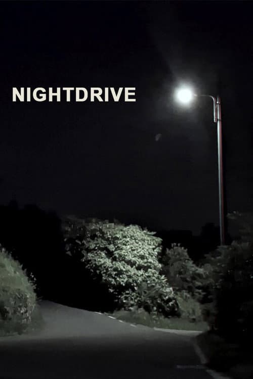 Nightdrive