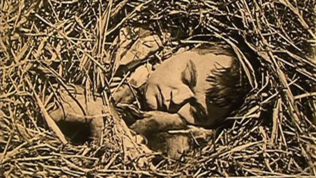 The Hayseed