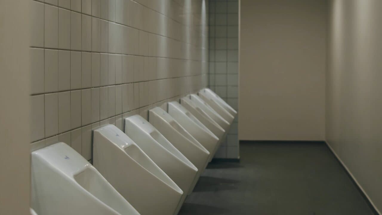 The Bathroom Visit