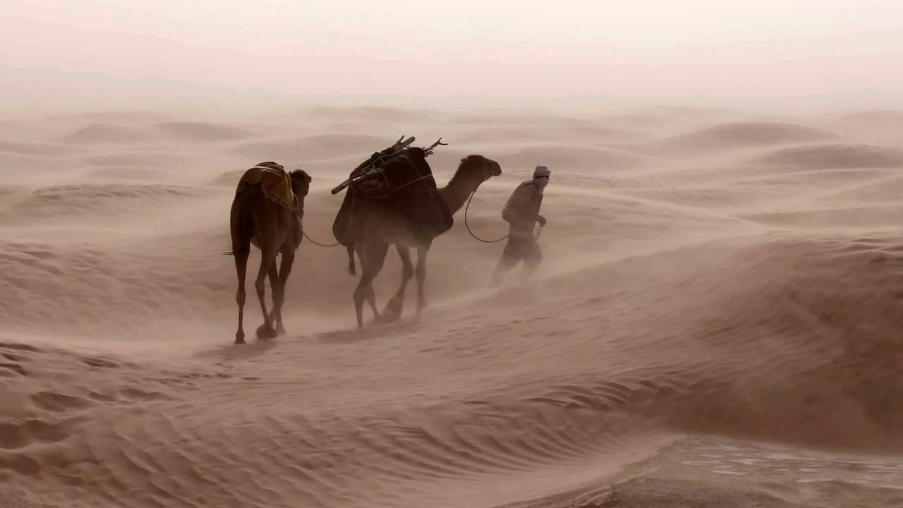 Winds : an Invisible Strength