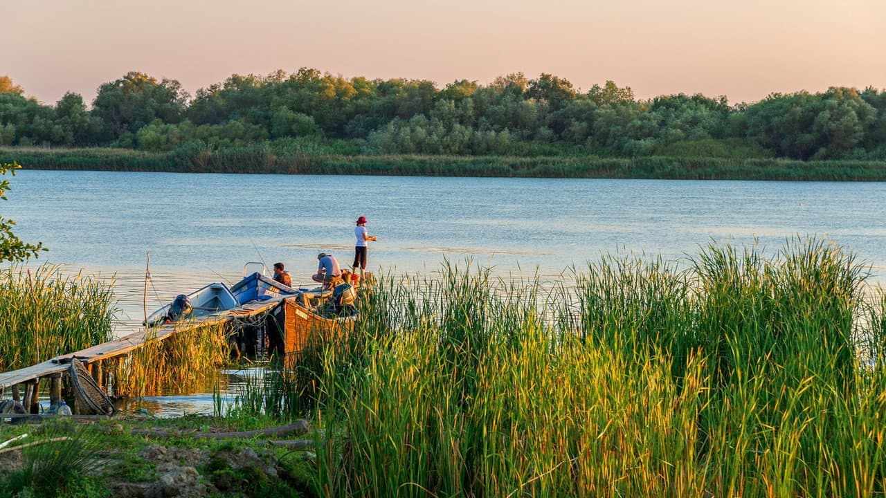 Wild Danube